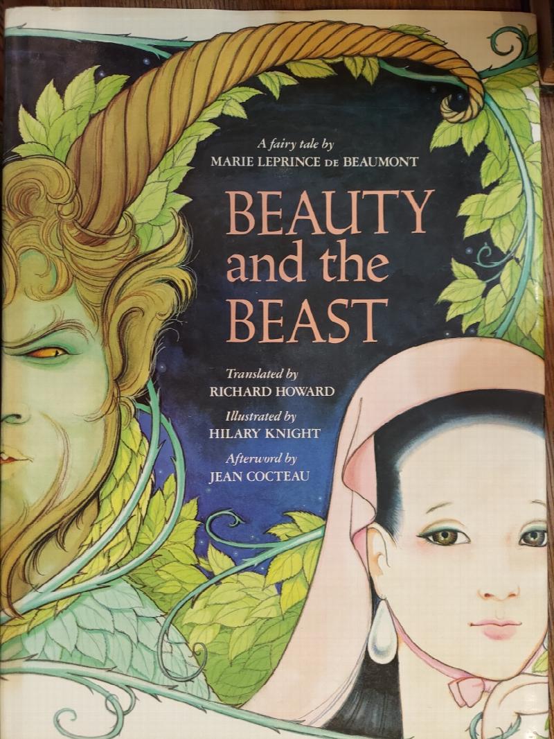 Beauty and the beast picture book