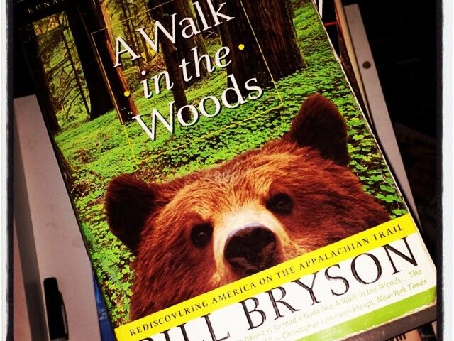 “A Walk in the Woods: Rediscovering America on the Appalachian Trail” by Bill Bryson