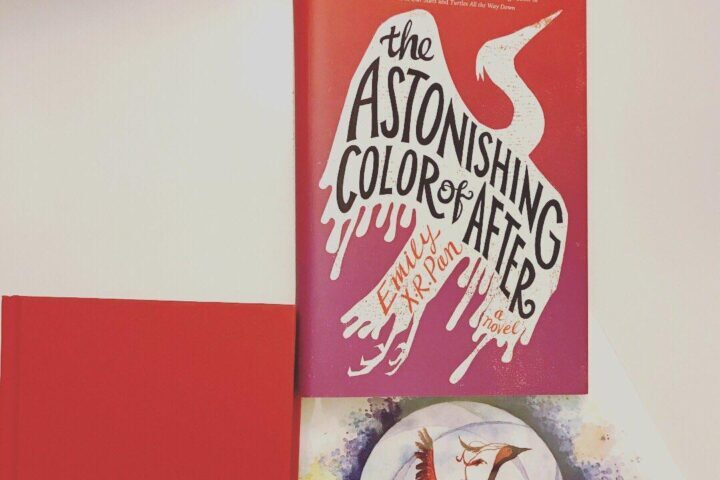 The Astonishing Color of After by Emily X.R. Pan