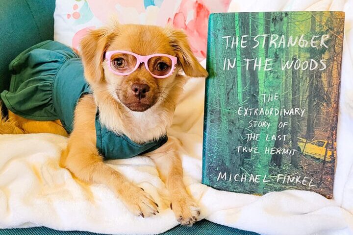 The Stranger in the Woods: The Extraordinary Story of the Last True Hermit by Michael Finkel