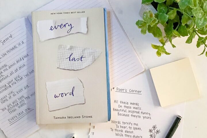 Every Last Word by Tamara Ireland Stone