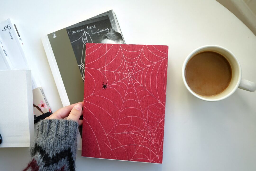 Charlotte's Web Book